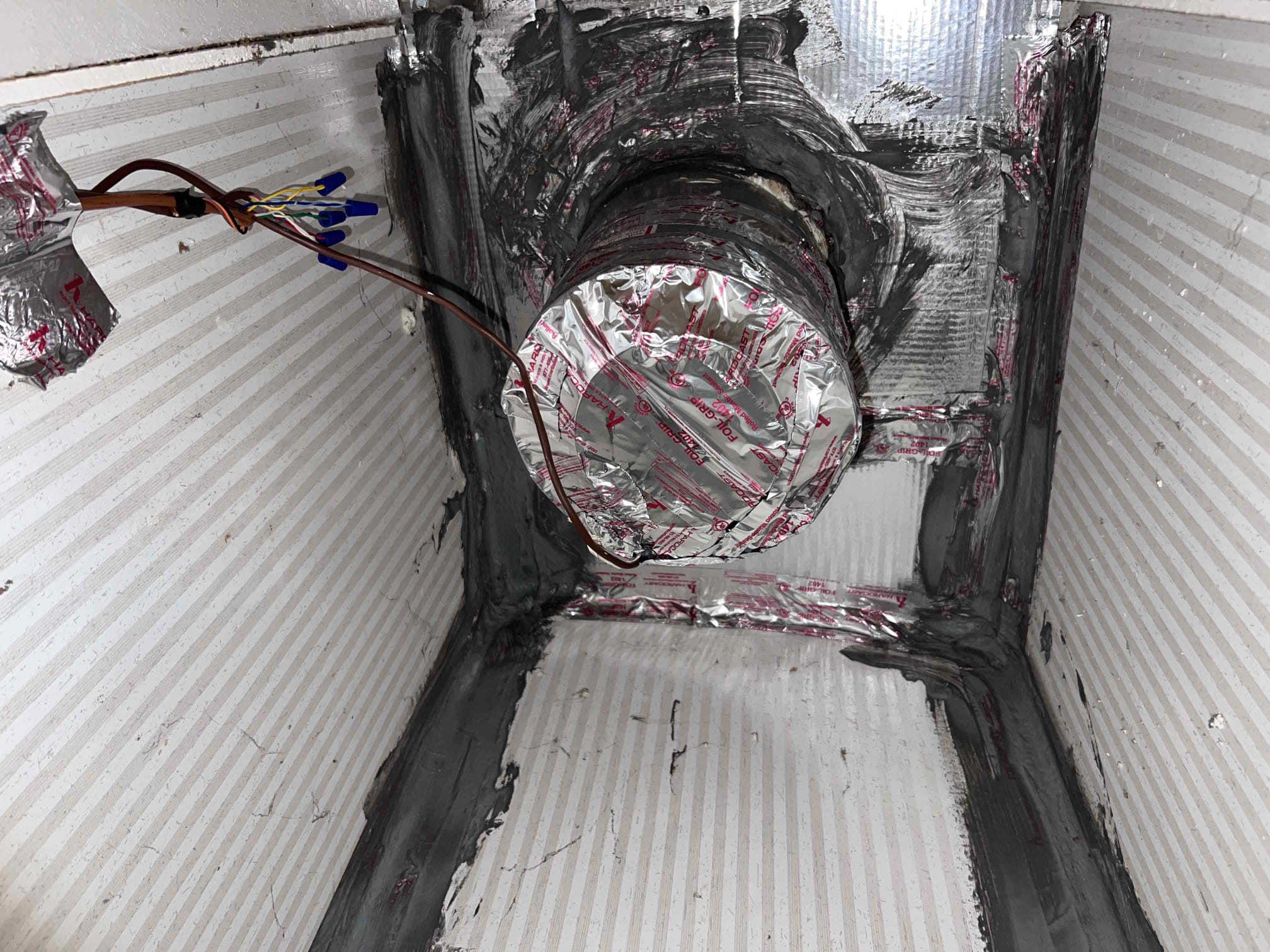 Matthew Delgado, Reid Stammerjohn