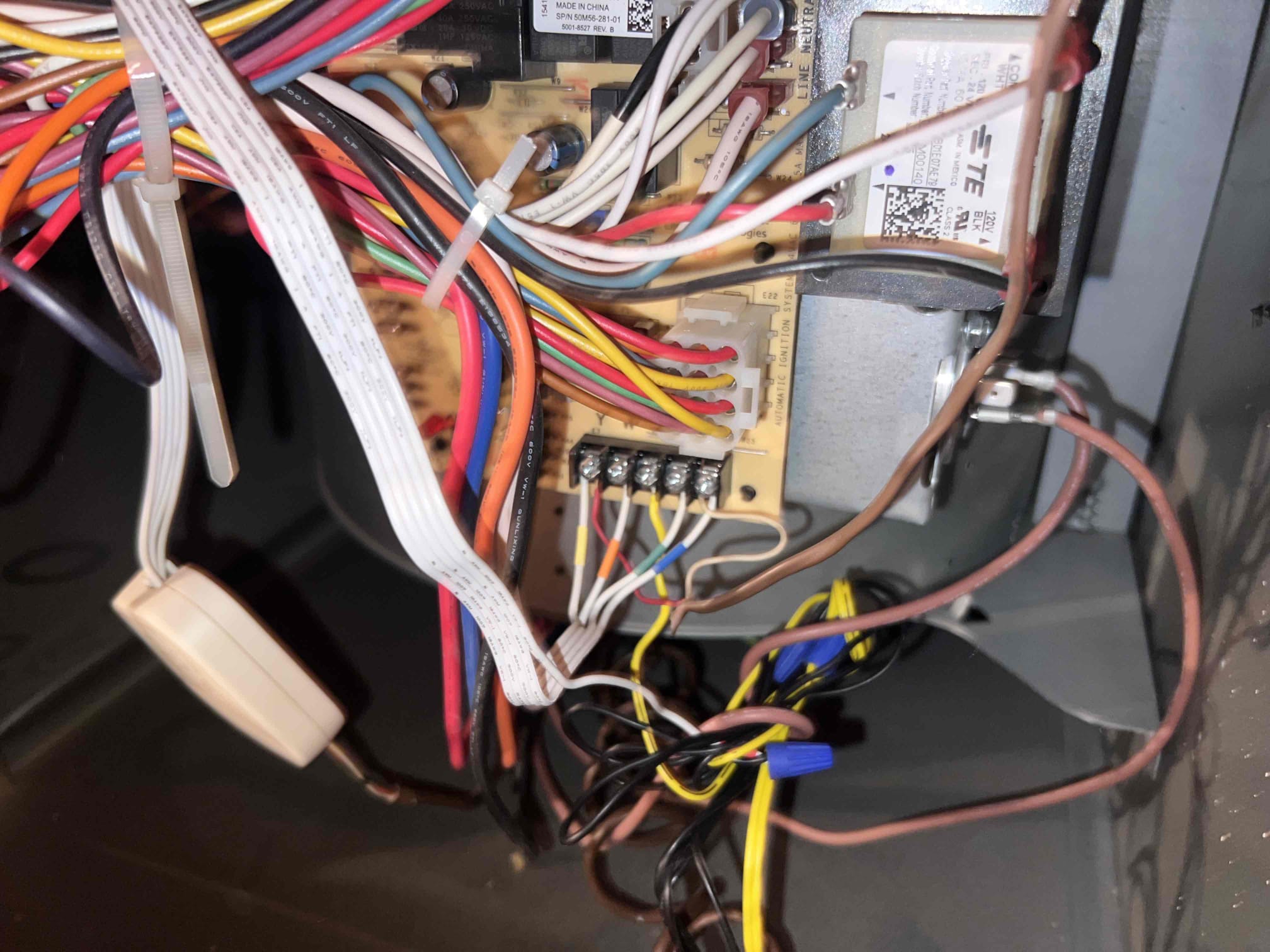 Christian Escudero, Landon Krall, Matthew Delgado