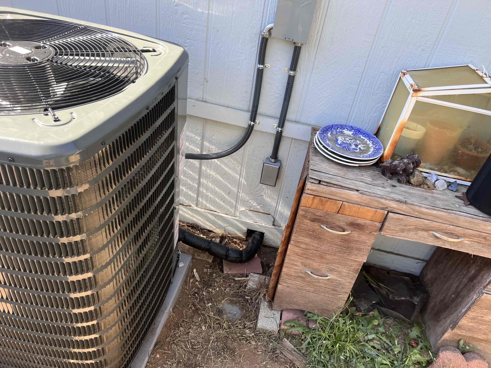 Christian Escudero, Matthew Delgado