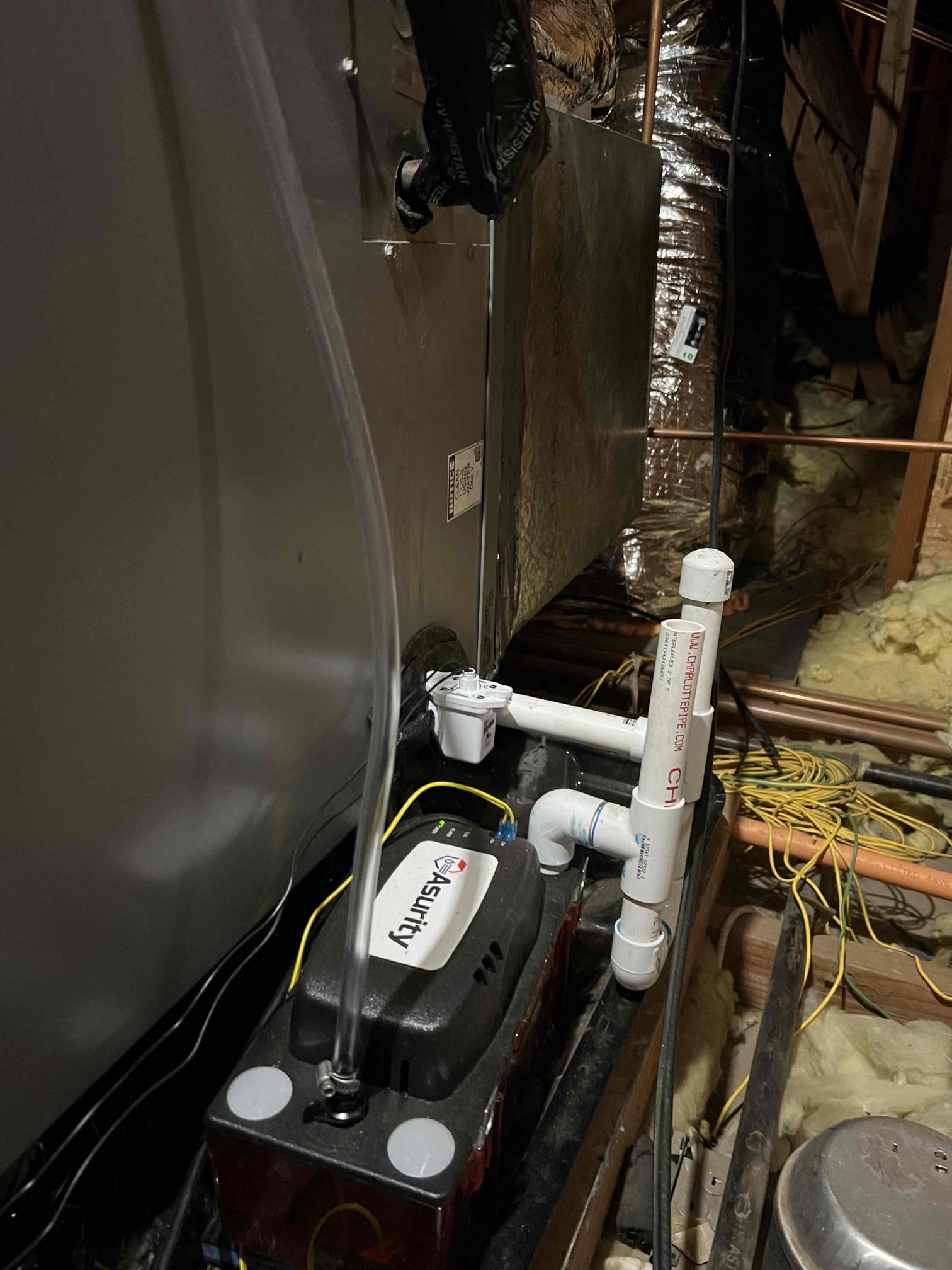 Matthew Hodge, Reid Stammerjohn