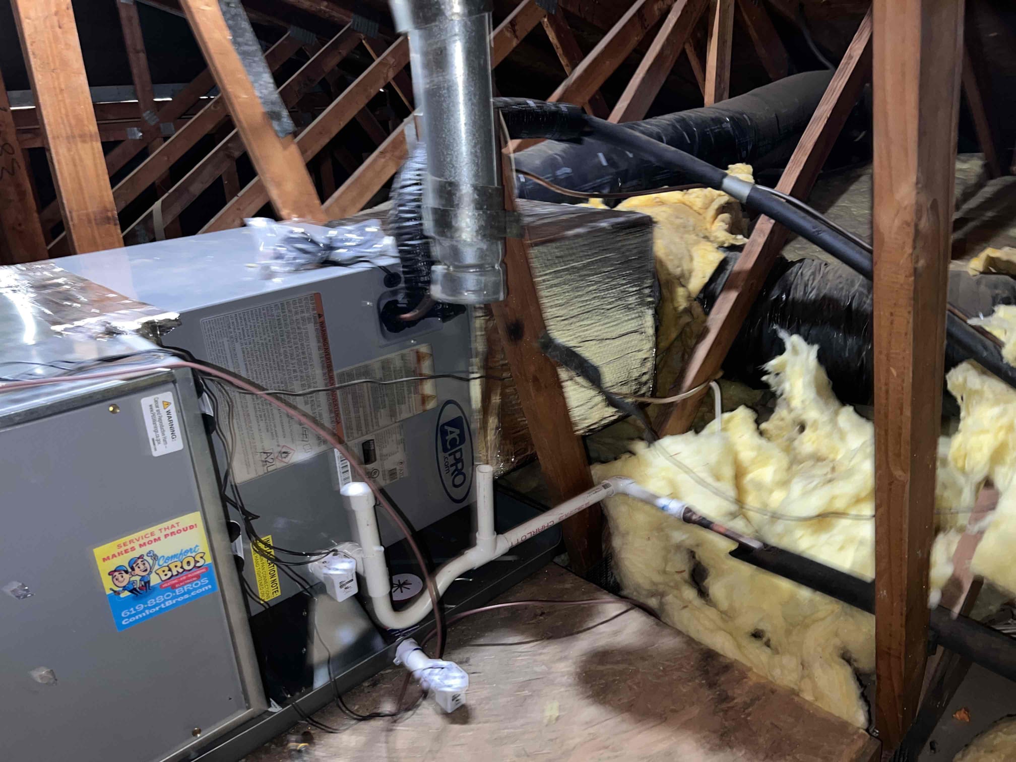 Matthew Delgado, Matthew Hodge