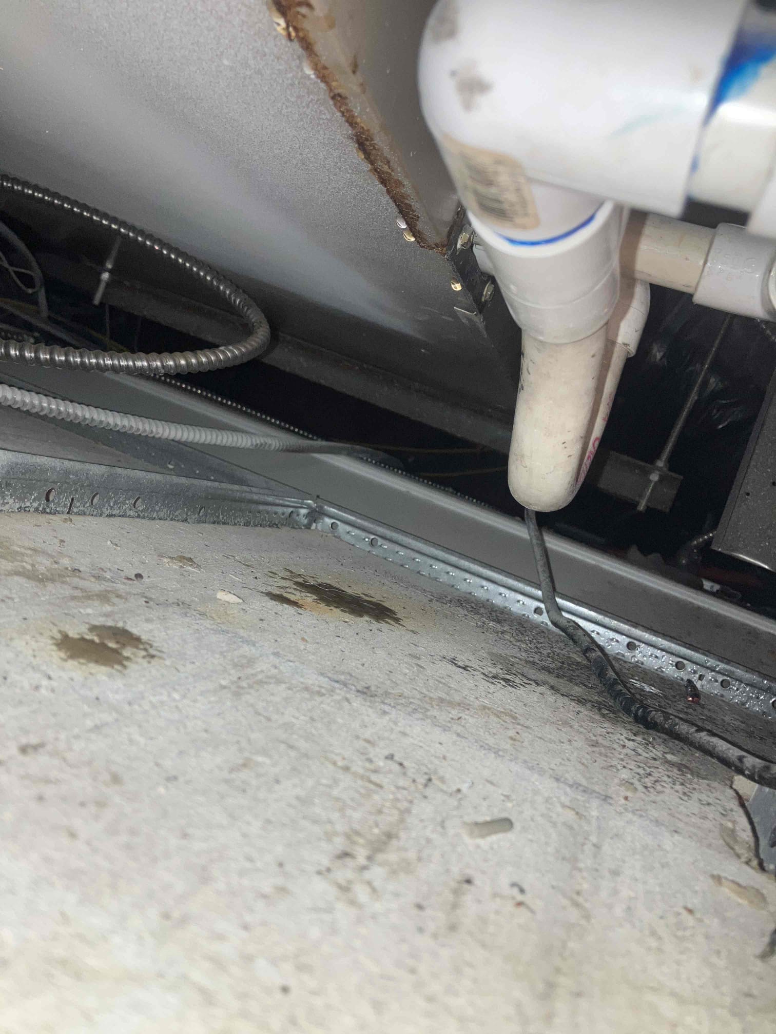 Jeff Tracy, Matthew Hodge