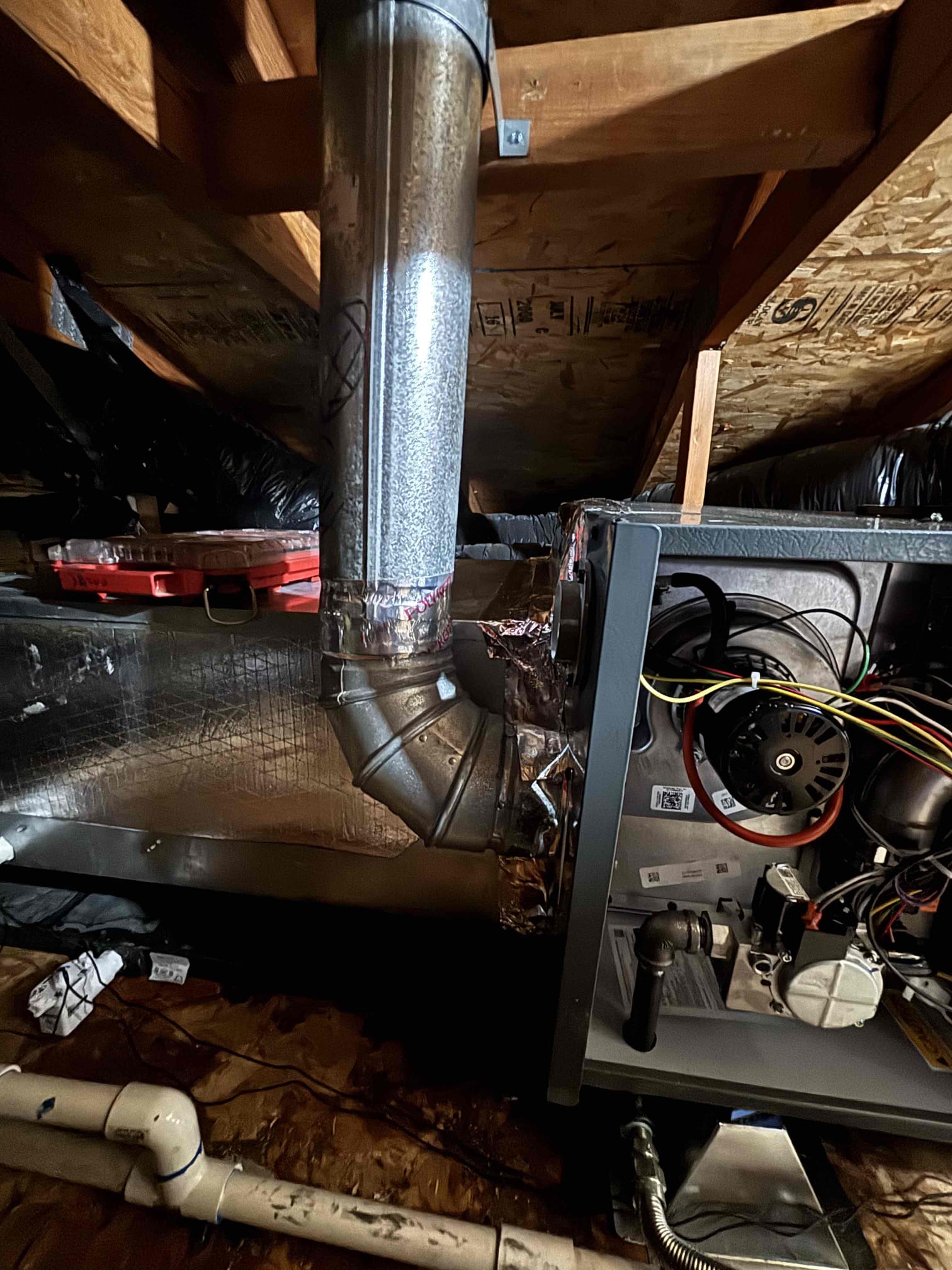 Joshua Stauffer, Landon Krall, Matthew Delgado, Matthew Hodge