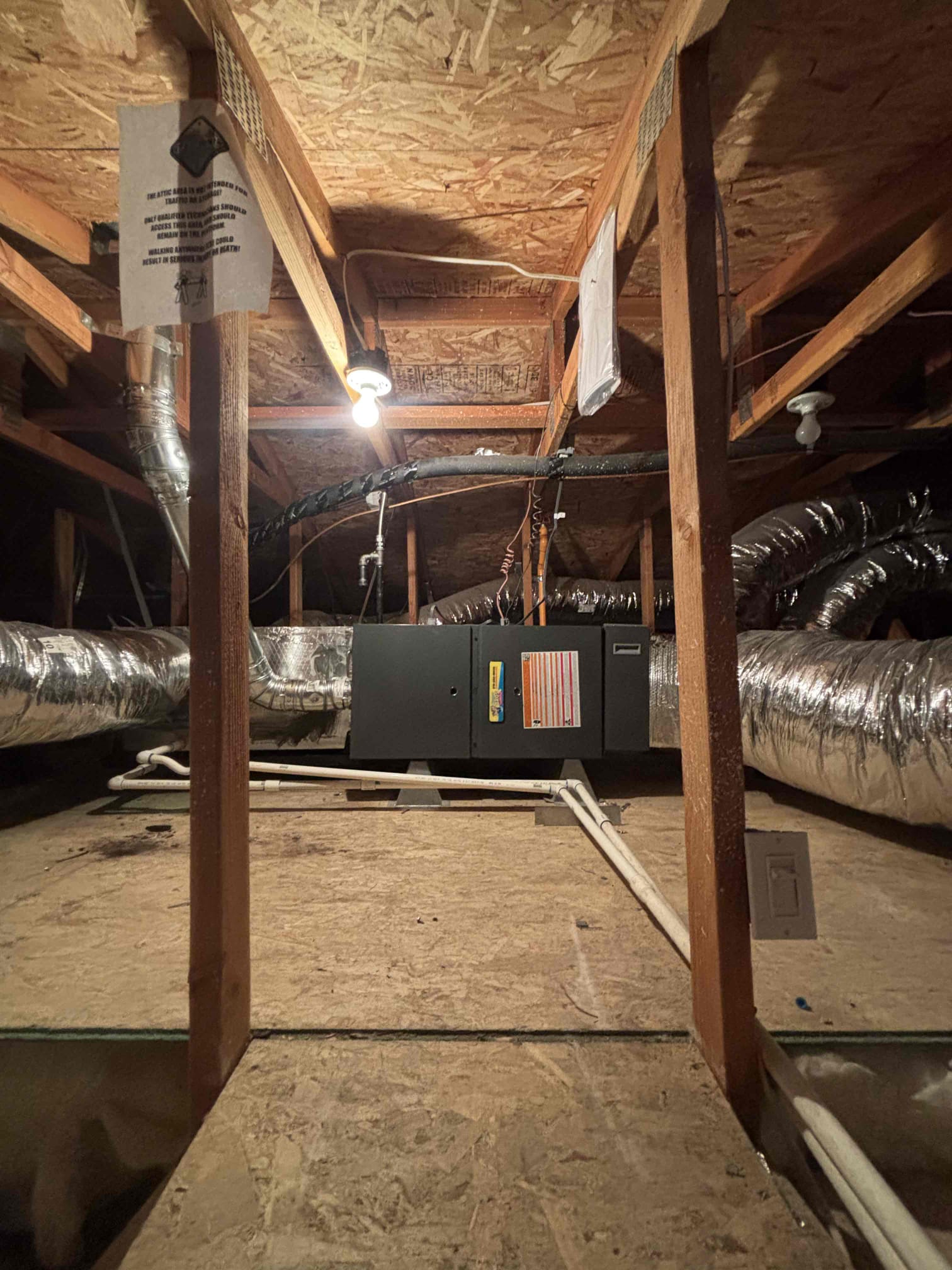 Dustin Brown, Matthew Hodge