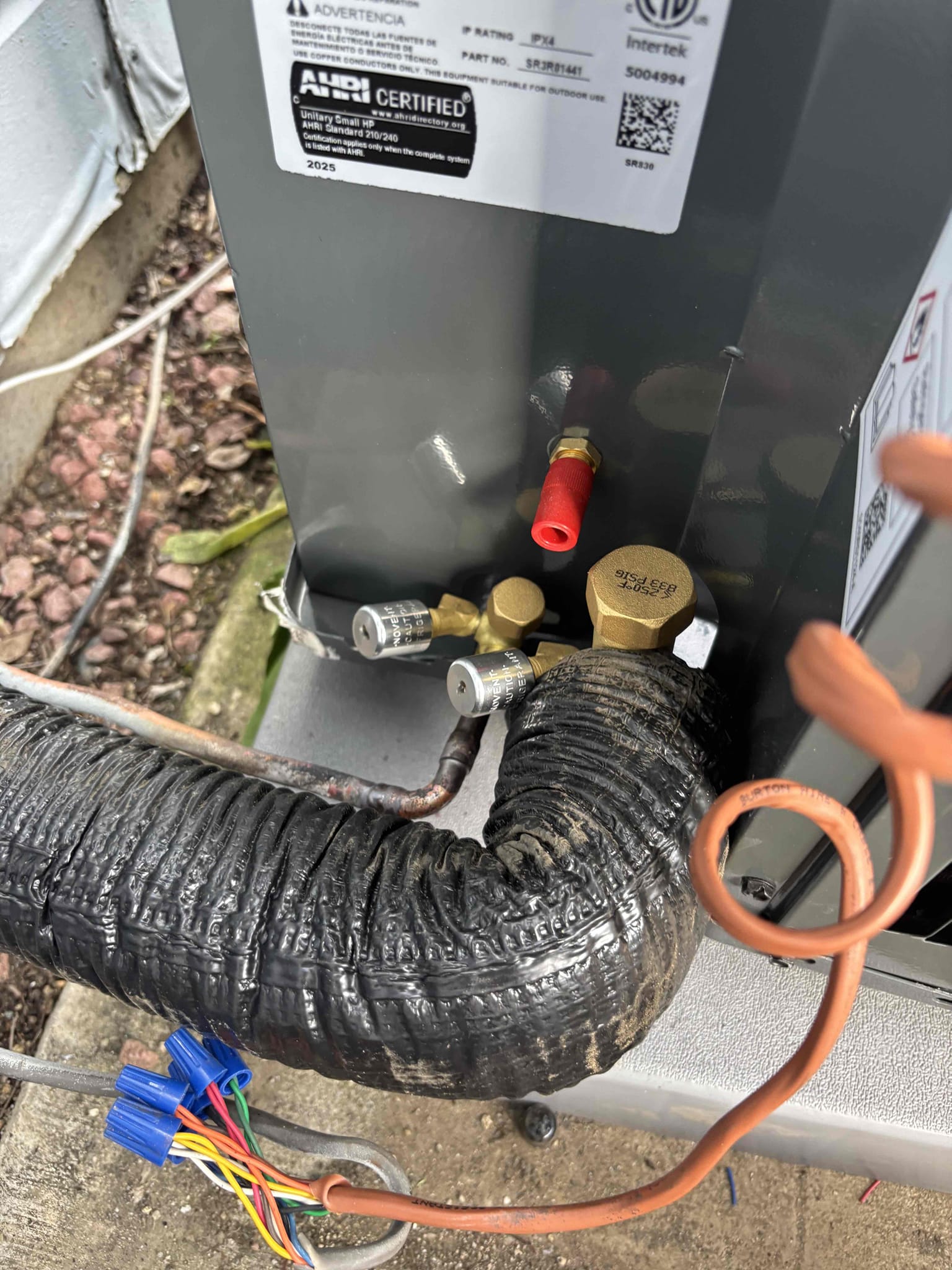 Dustin Brown, Jeff Tracy