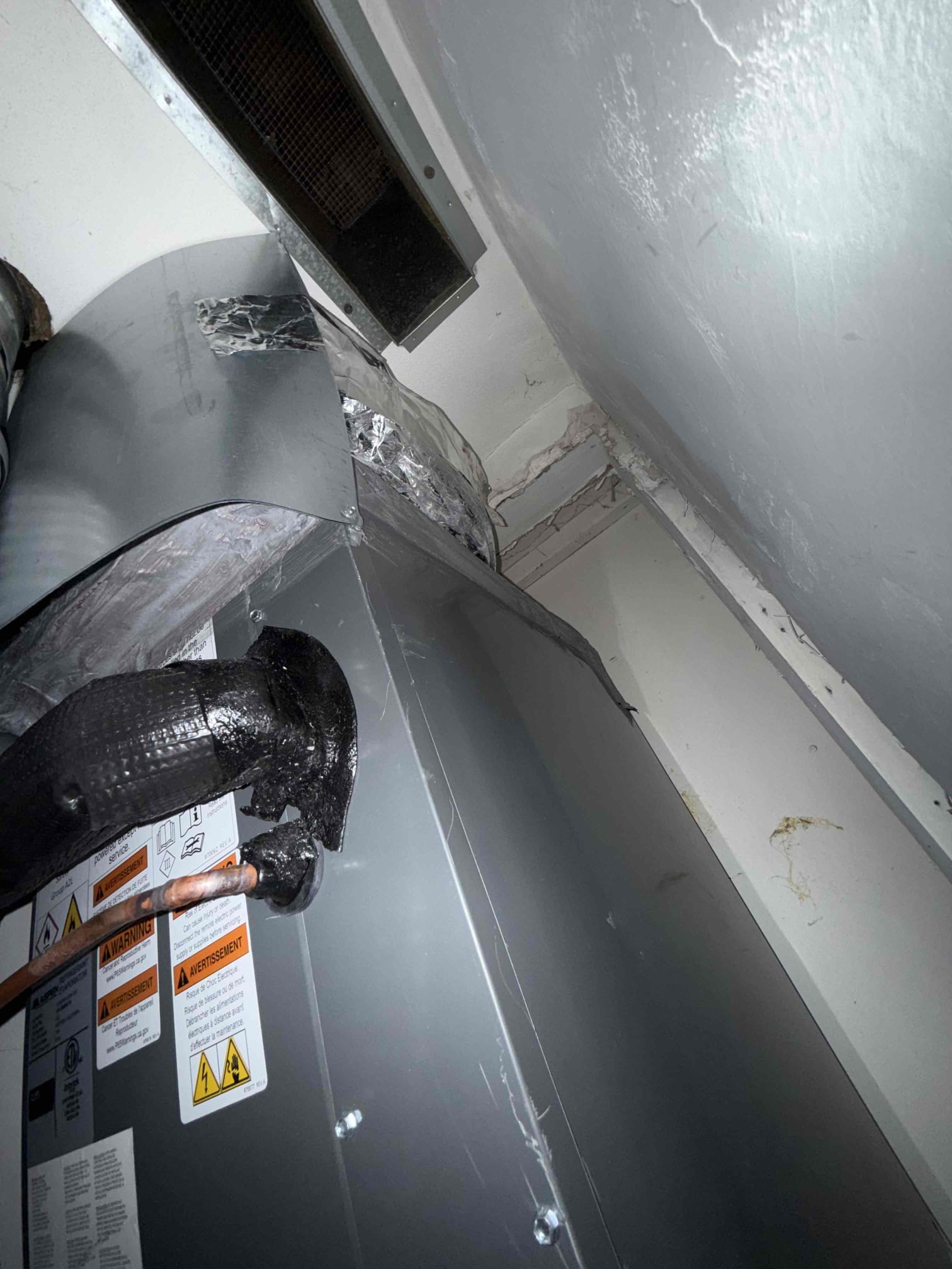 Anthony Hernandez, Dustin Brown, Jonathan Bagby, Joshua Stauffer, Mathew Garcia, Matthew Hodge, Trevor Nelson