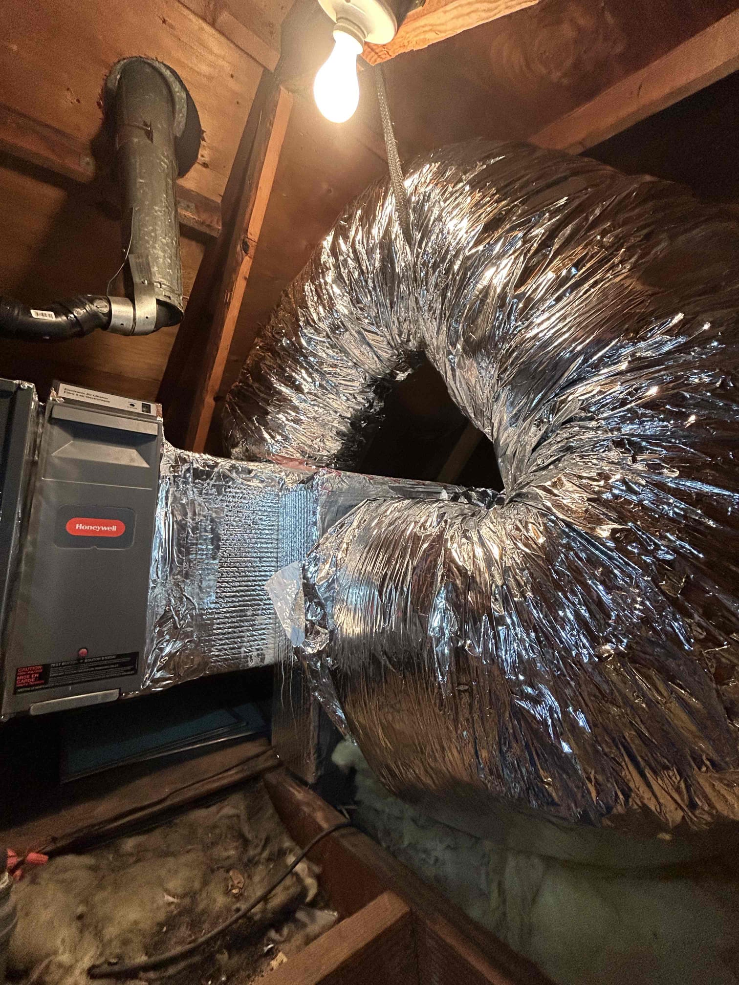 Jonathan Bagby, Trevor Nelson