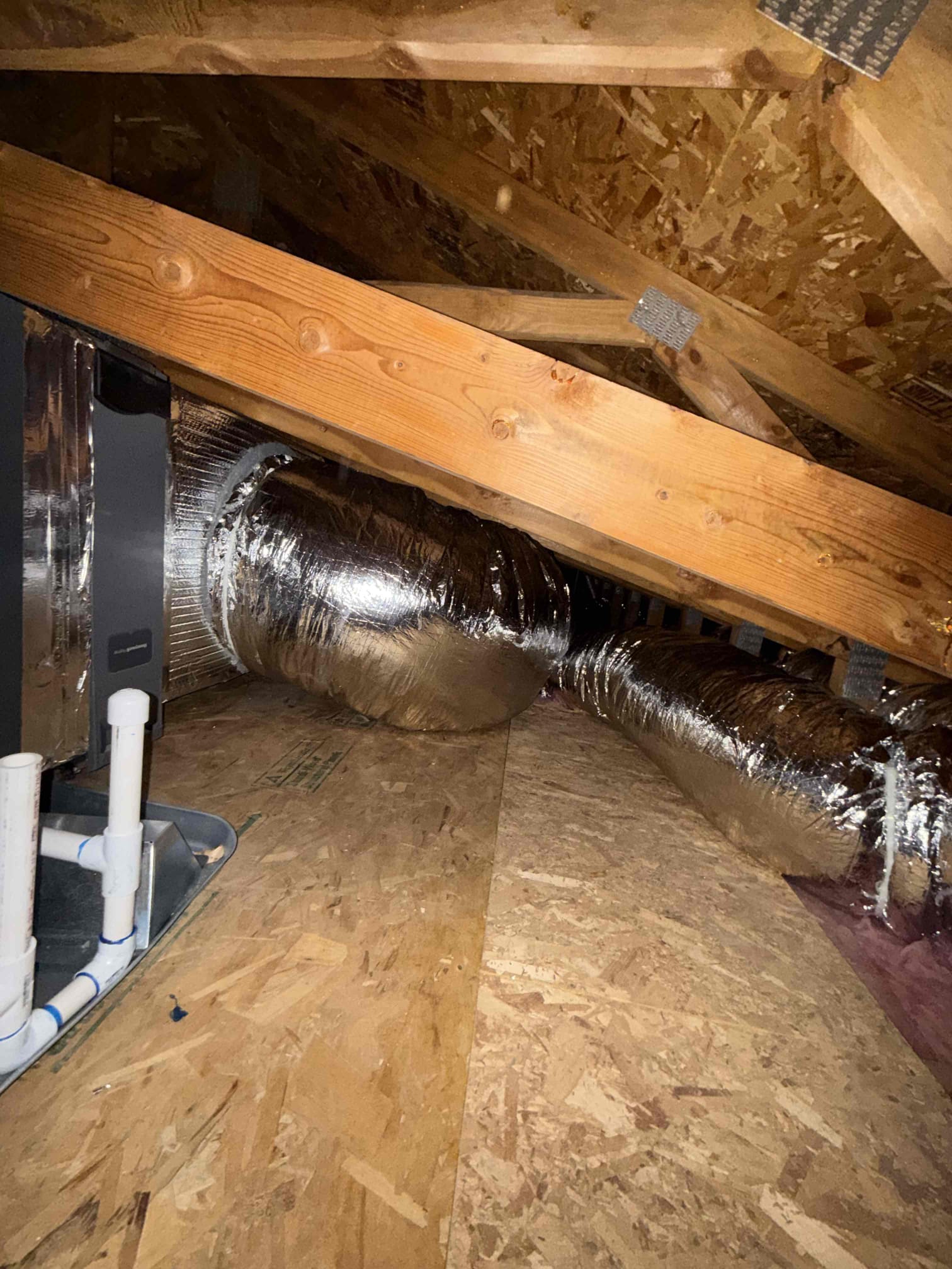 Christian Escudero, Dustin Brown, Jonathan Bagby, Matthew Hodge, Trevor Nelson