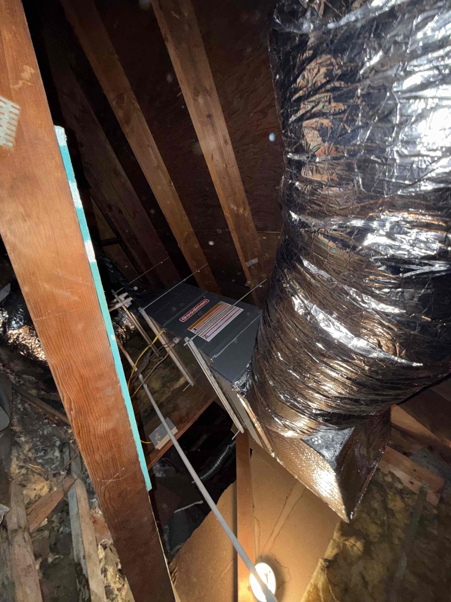 Anthony Hernandez, Christian Escudero, Jeff Tracy, Jonathan Bagby, Trevor Nelson