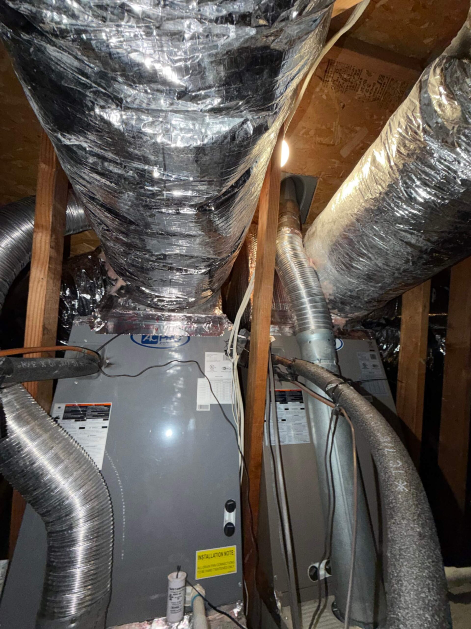 Christian Escudero, Cody Miller