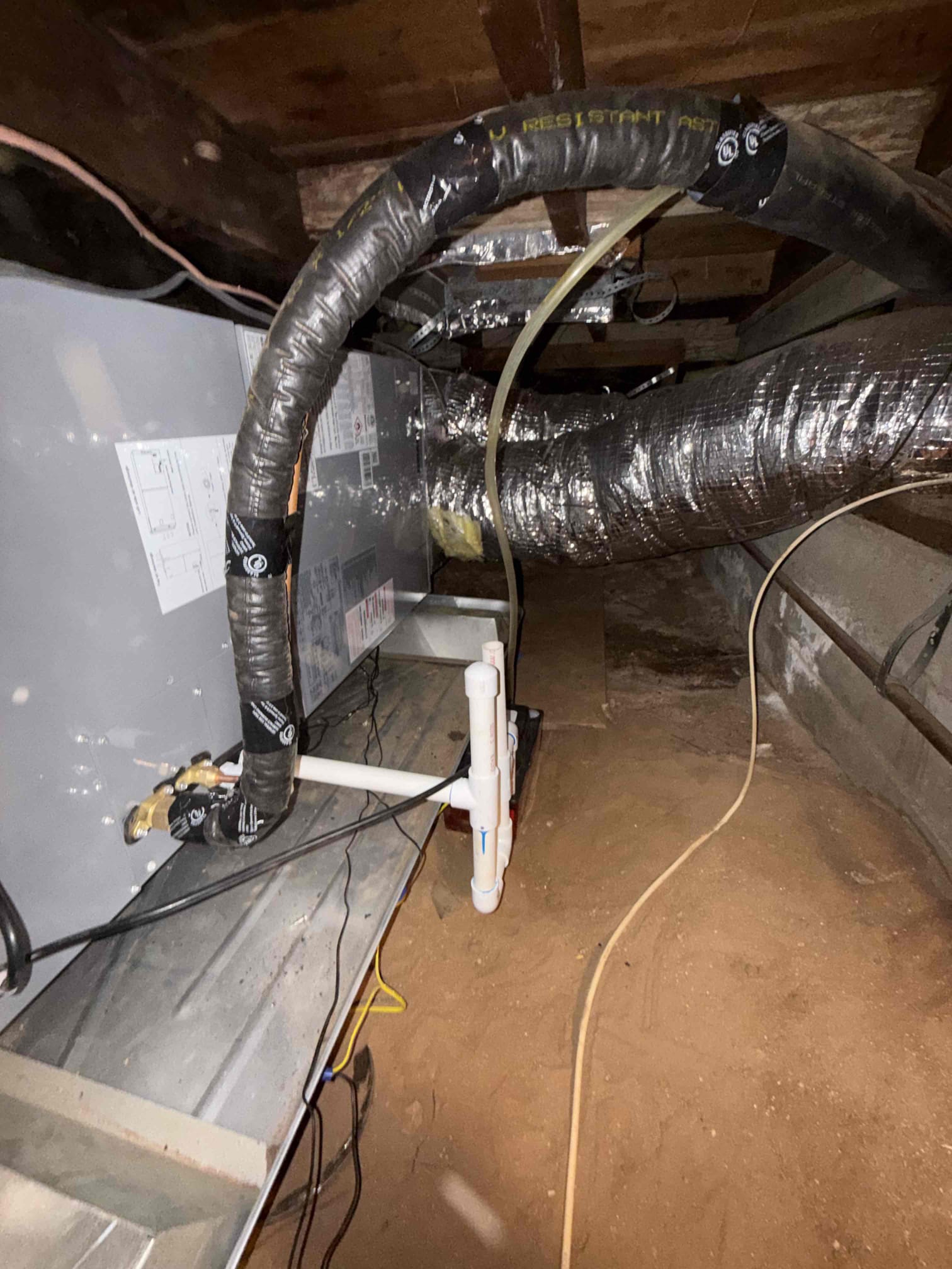 Jonathan Bagby, Trevor Nelson