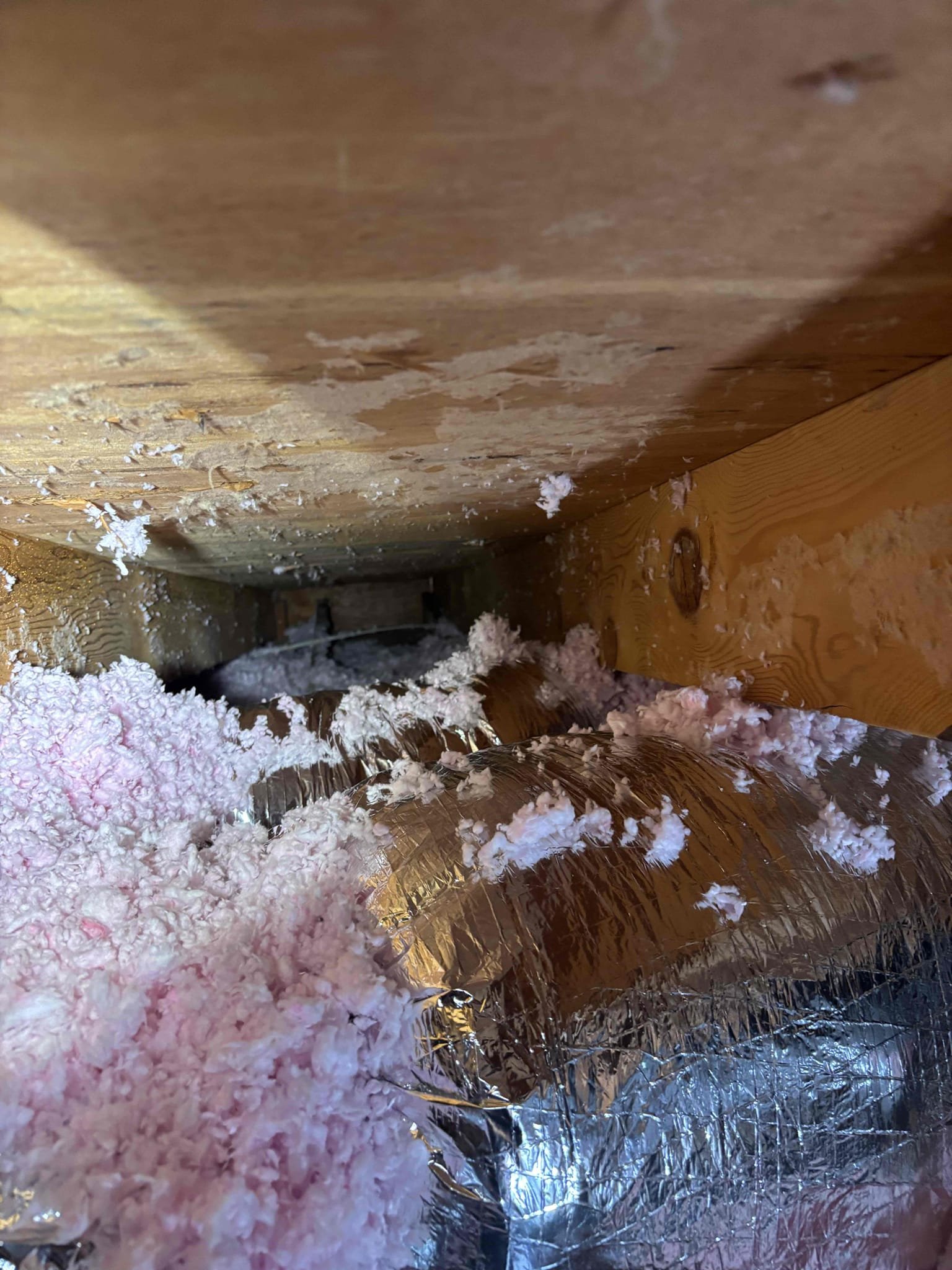 Anthony Hernandez, Dustin Brown, Jonathan Bagby