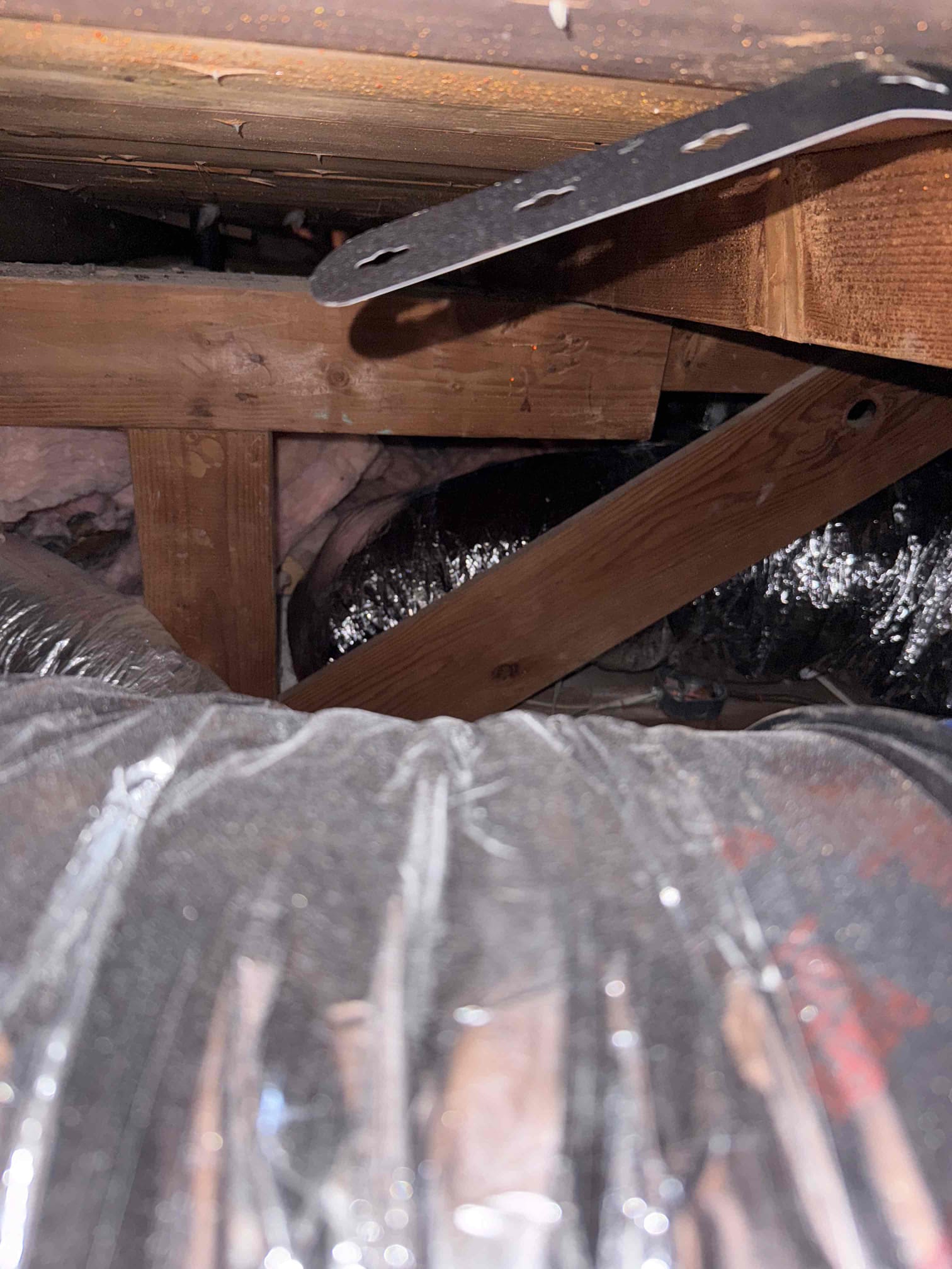 Christian Escudero, Jonathan Bagby