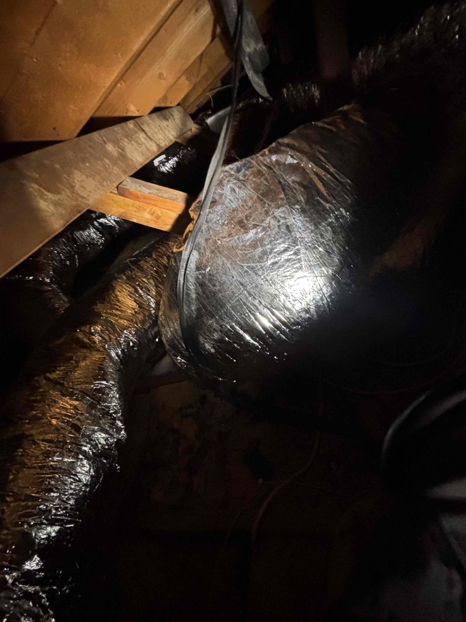 Anthony Hernandez, Dustin Brown