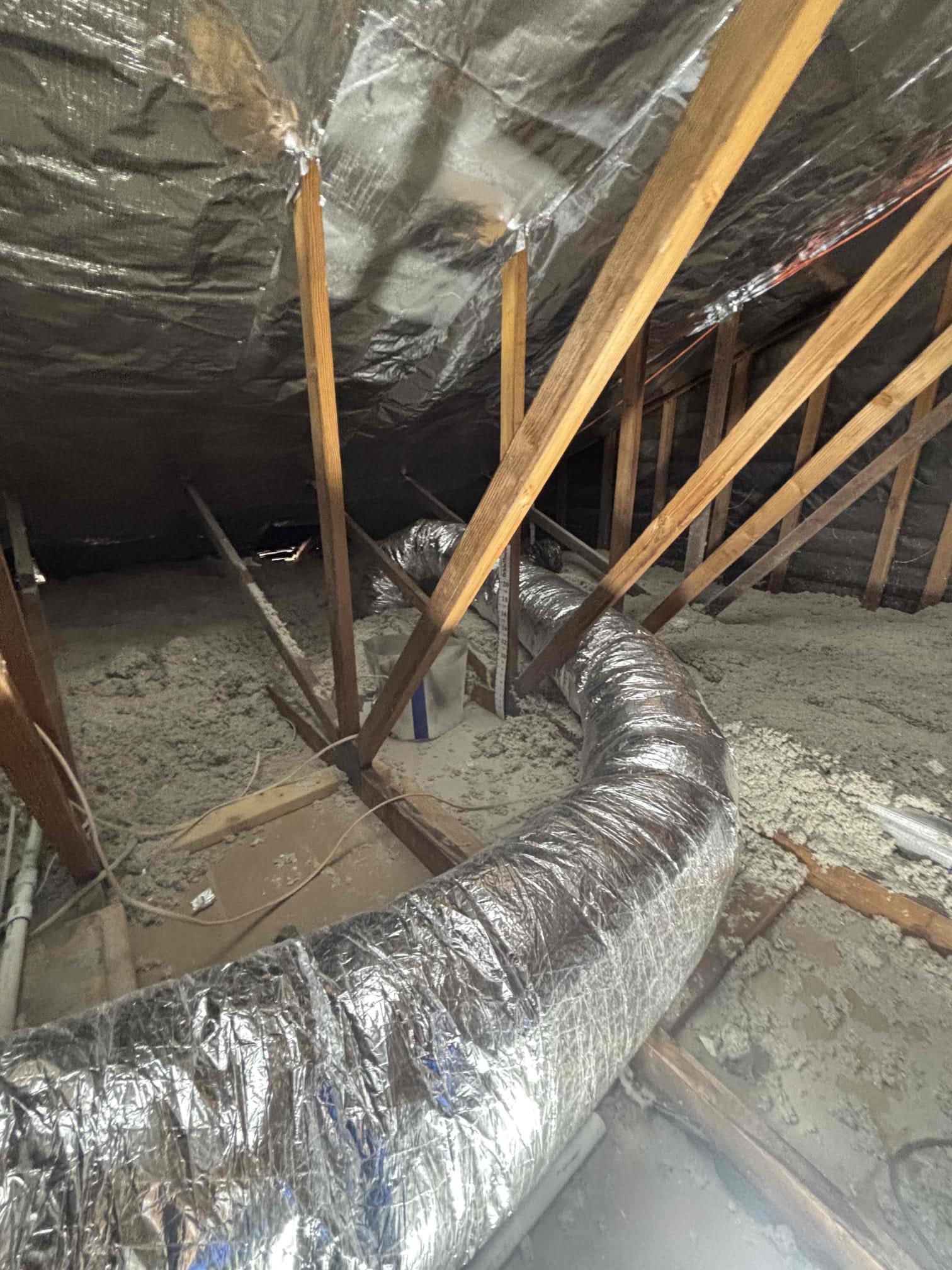 Anthony Hernandez, Dustin Brown