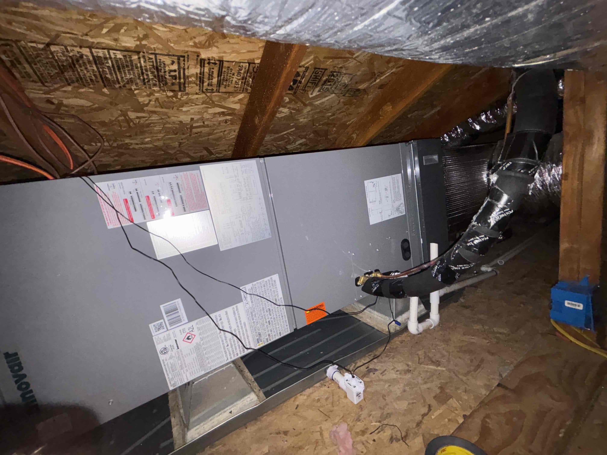 Anthony Hernandez, Dustin Brown, Ryan Dougherty, Trevor Nelson