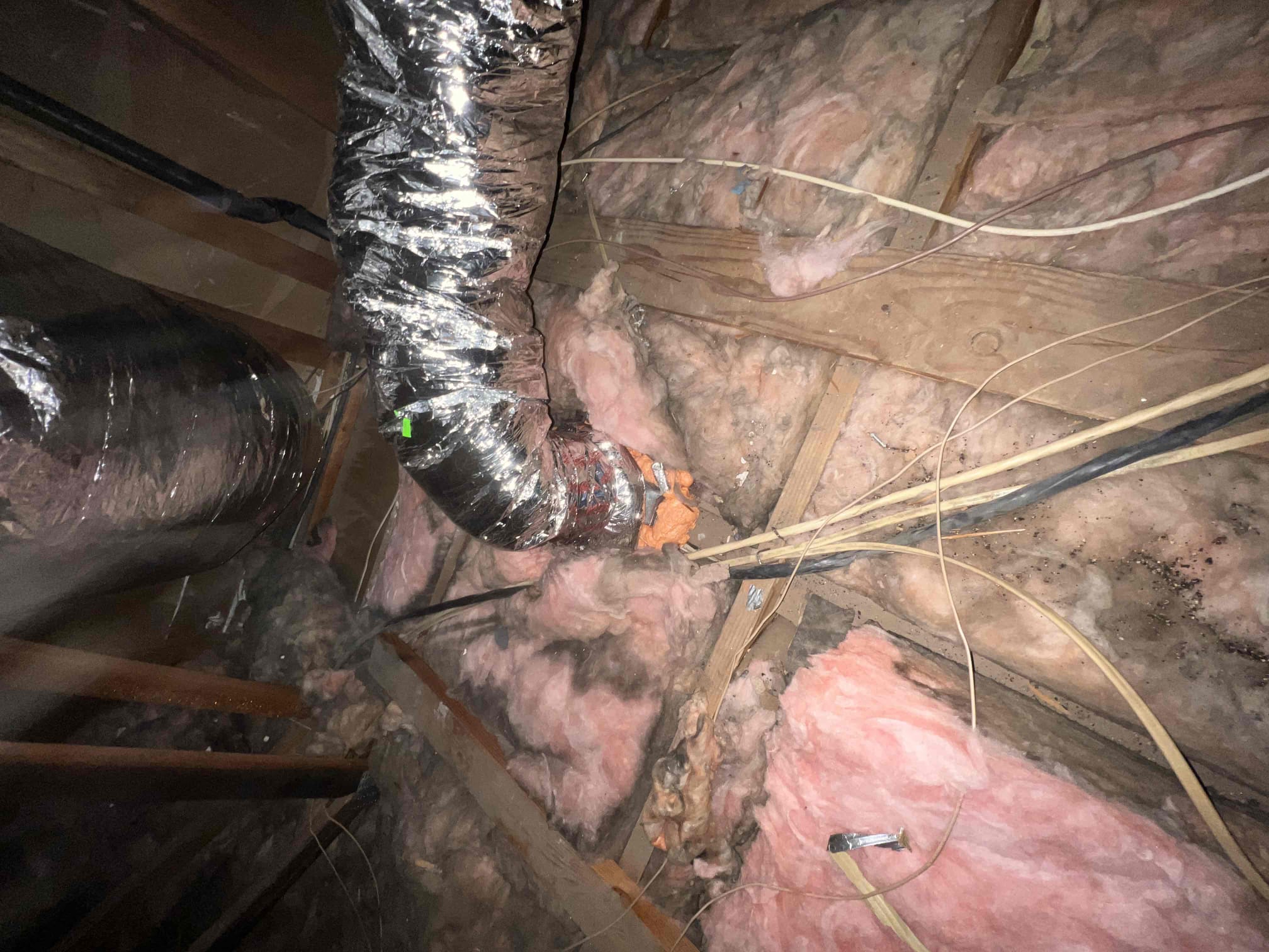 Jonathan Bagby, Matthew Hodge, Reid Stammerjohn