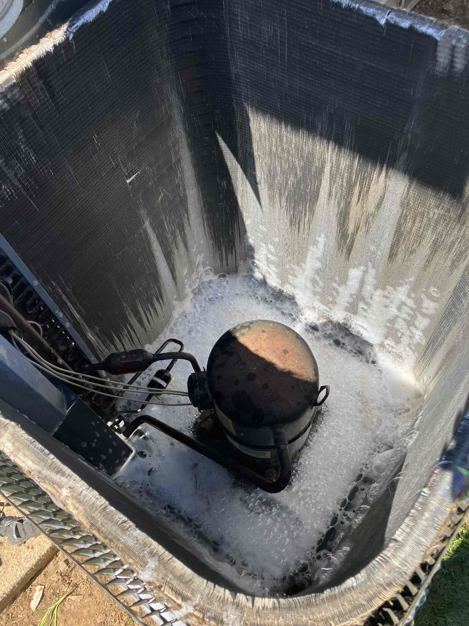 Cody Miller, Matthew Hodge