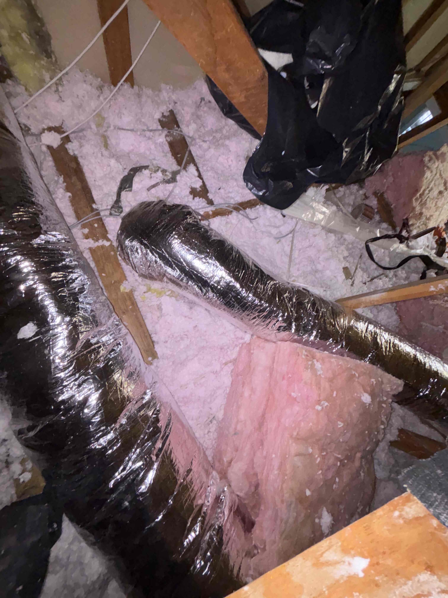 Matthew Hodge, Reid Stammerjohn