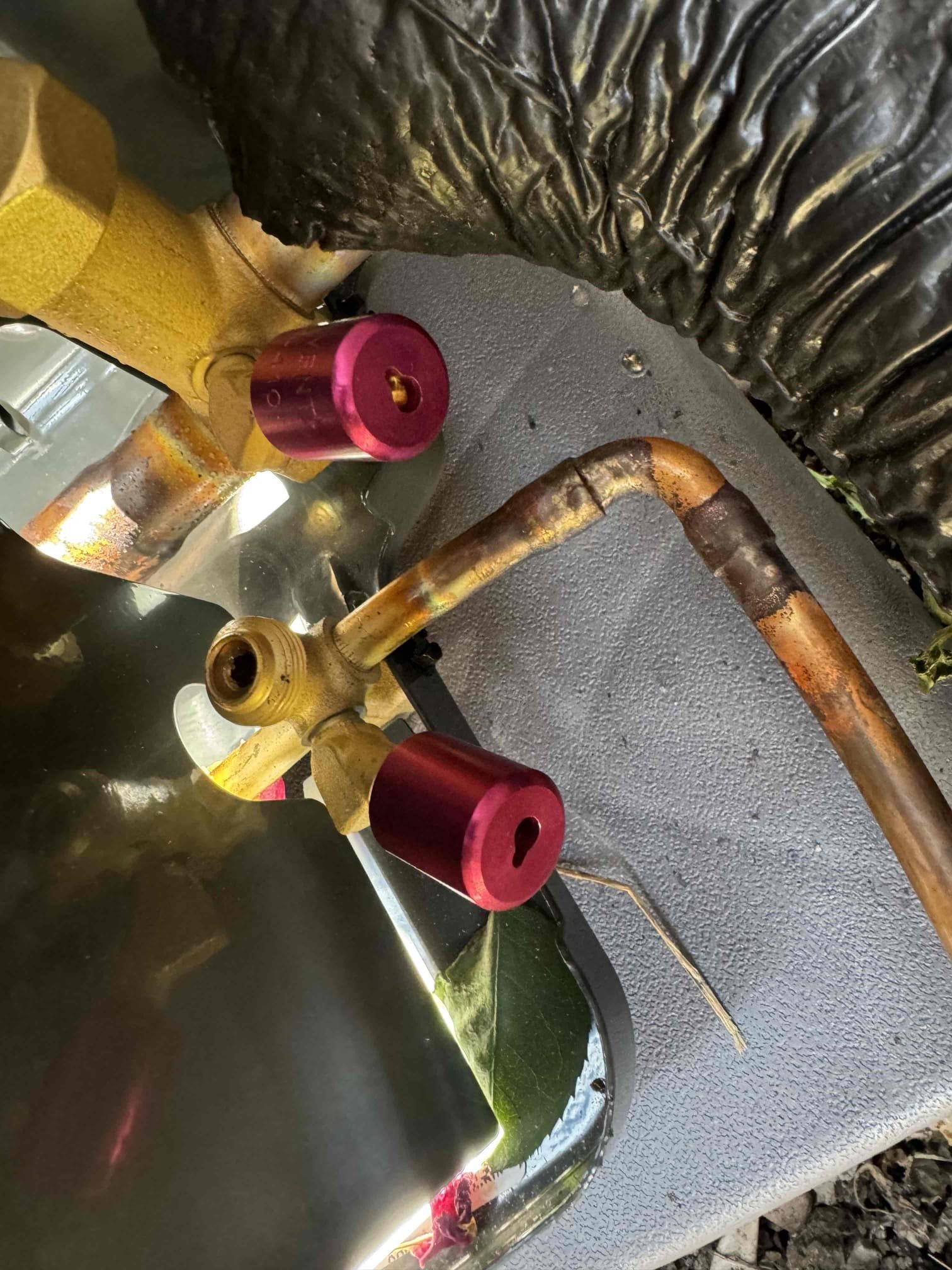 Anthony Hernandez, Dustin Brown