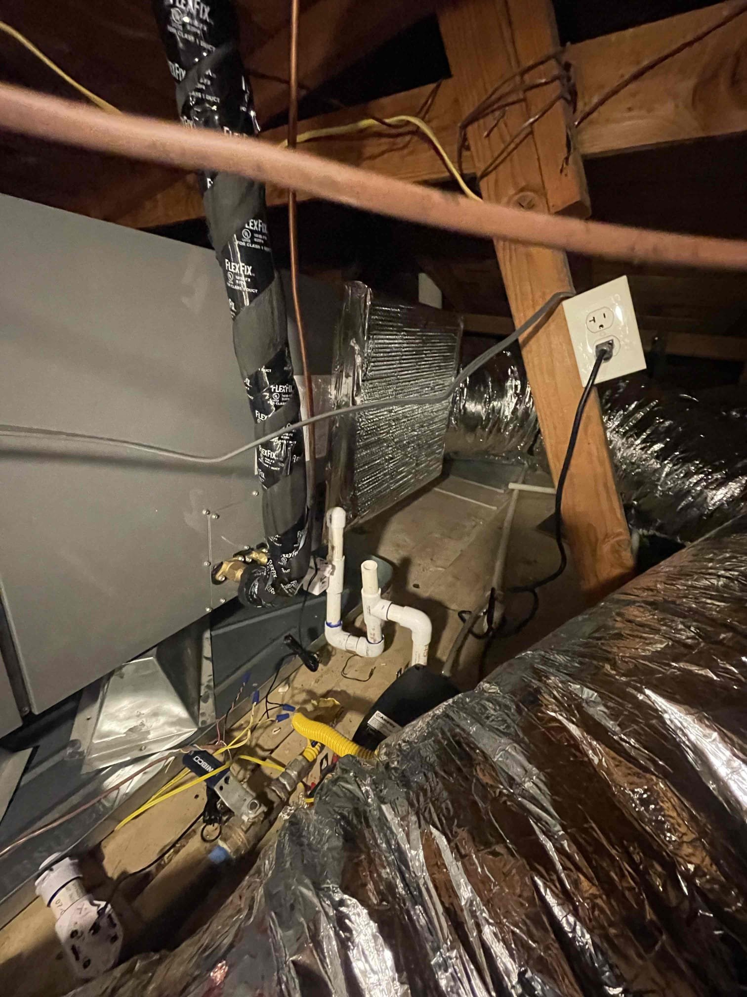 Ryan Dougherty, Trevor Nelson