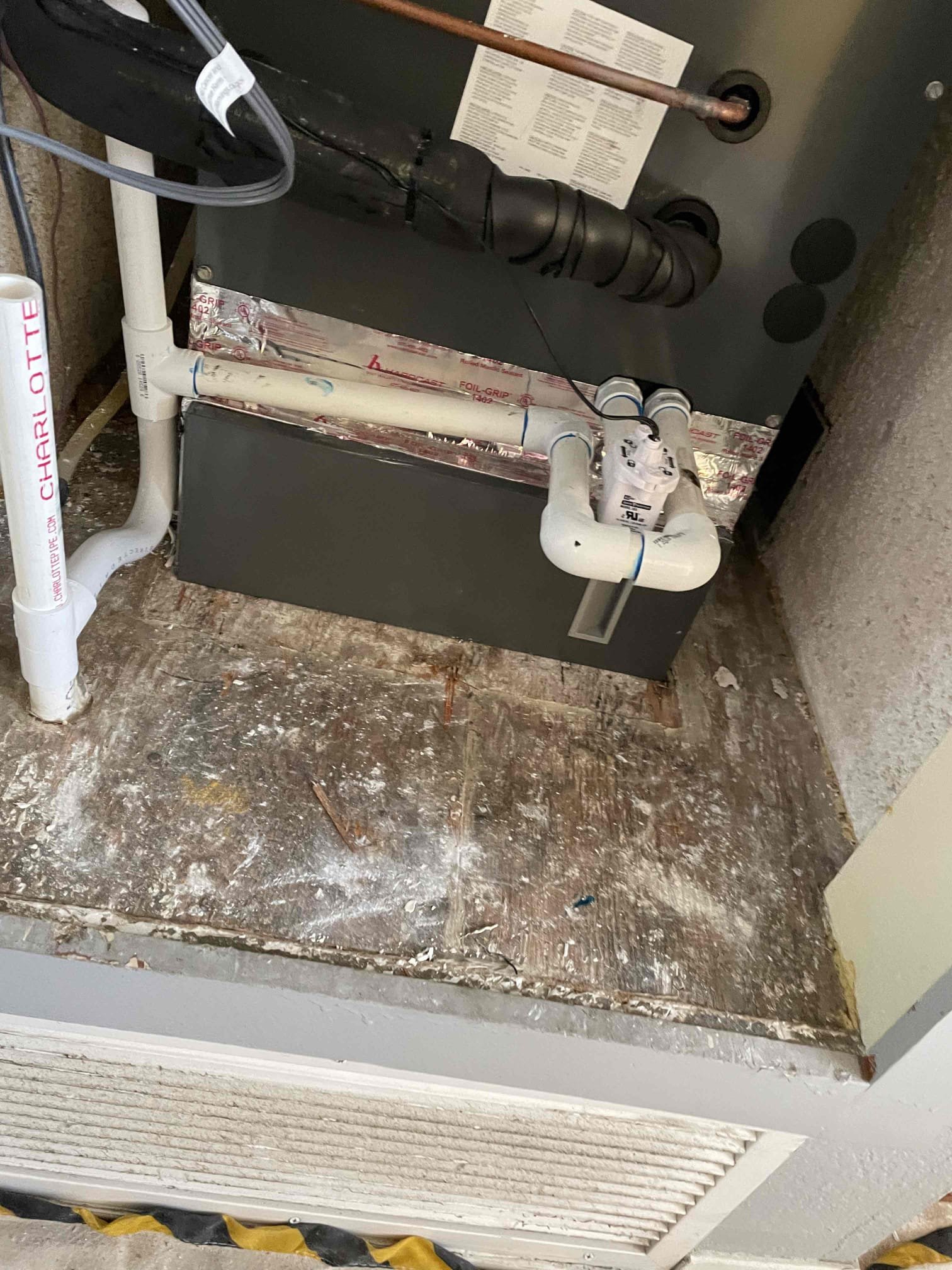 Ryan Dougherty, Trevor Nelson