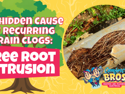An infographic shows tree root intrusion causing severe damage inside a drainpipe, highlighting it as a hidden cause of recurring drain clogs. Comfort Bros logo appears at the bottom right.