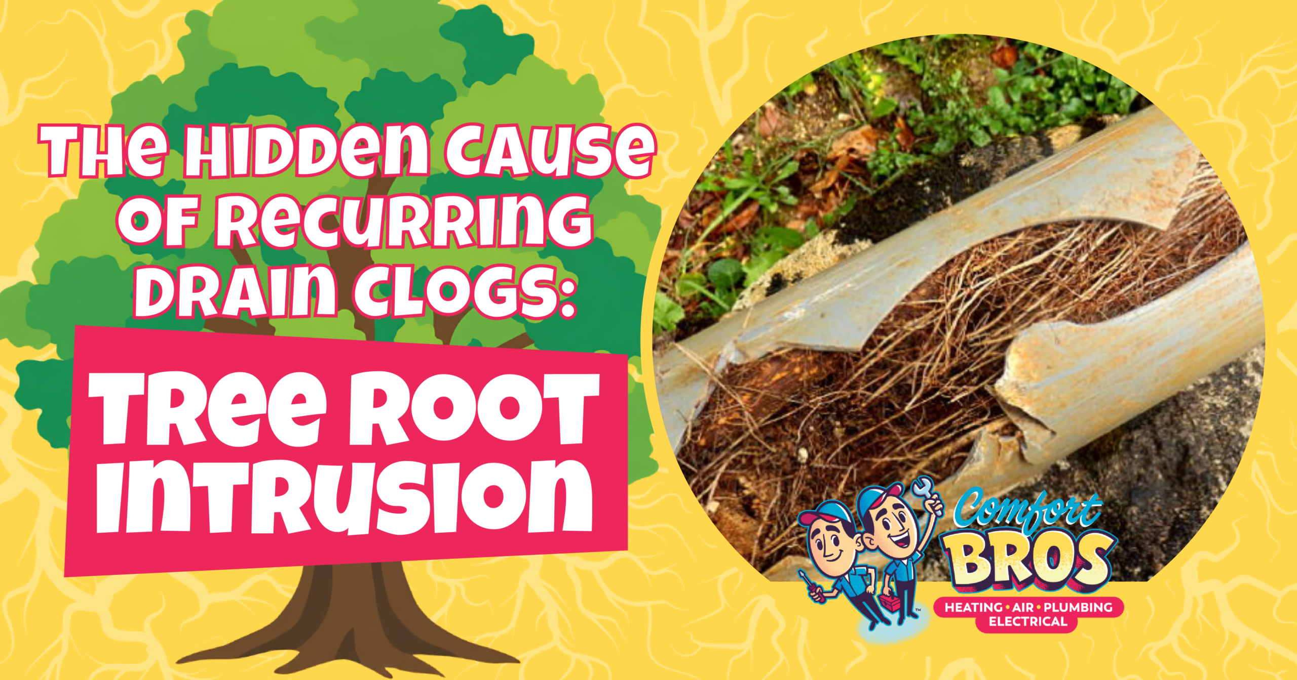 An infographic shows tree root intrusion causing severe damage inside a drainpipe, highlighting it as a hidden cause of recurring drain clogs. Comfort Bros logo appears at the bottom right.