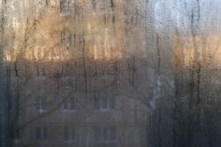 A foggy window with water droplets partially obscures the view of a building and trees outside.